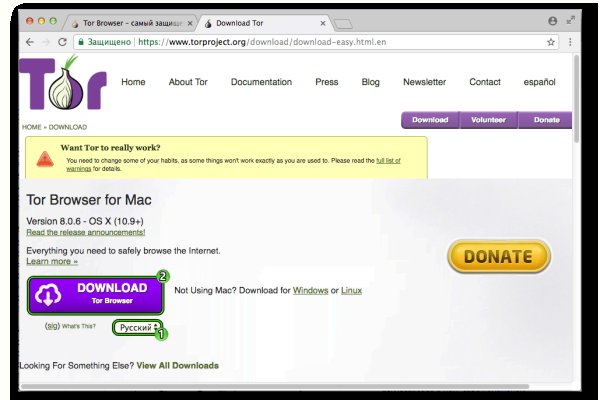 Актуальная ссылка на кракен kraken