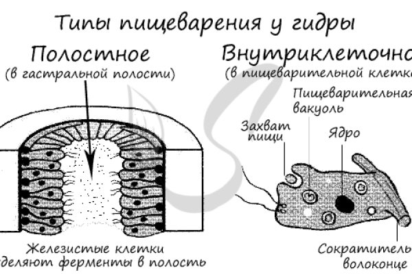 Кракен маркет даркнет тор