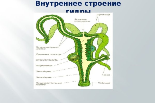 Кракен короткая ссылка